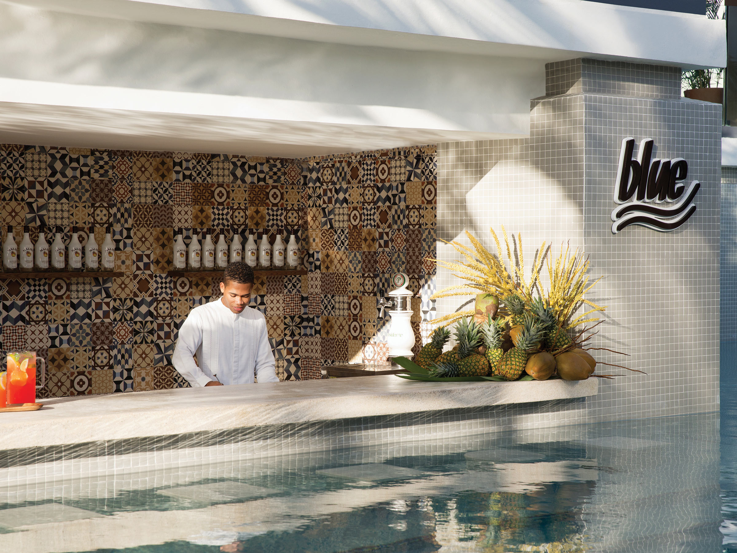 Swim-Up Bar in Punta Cana