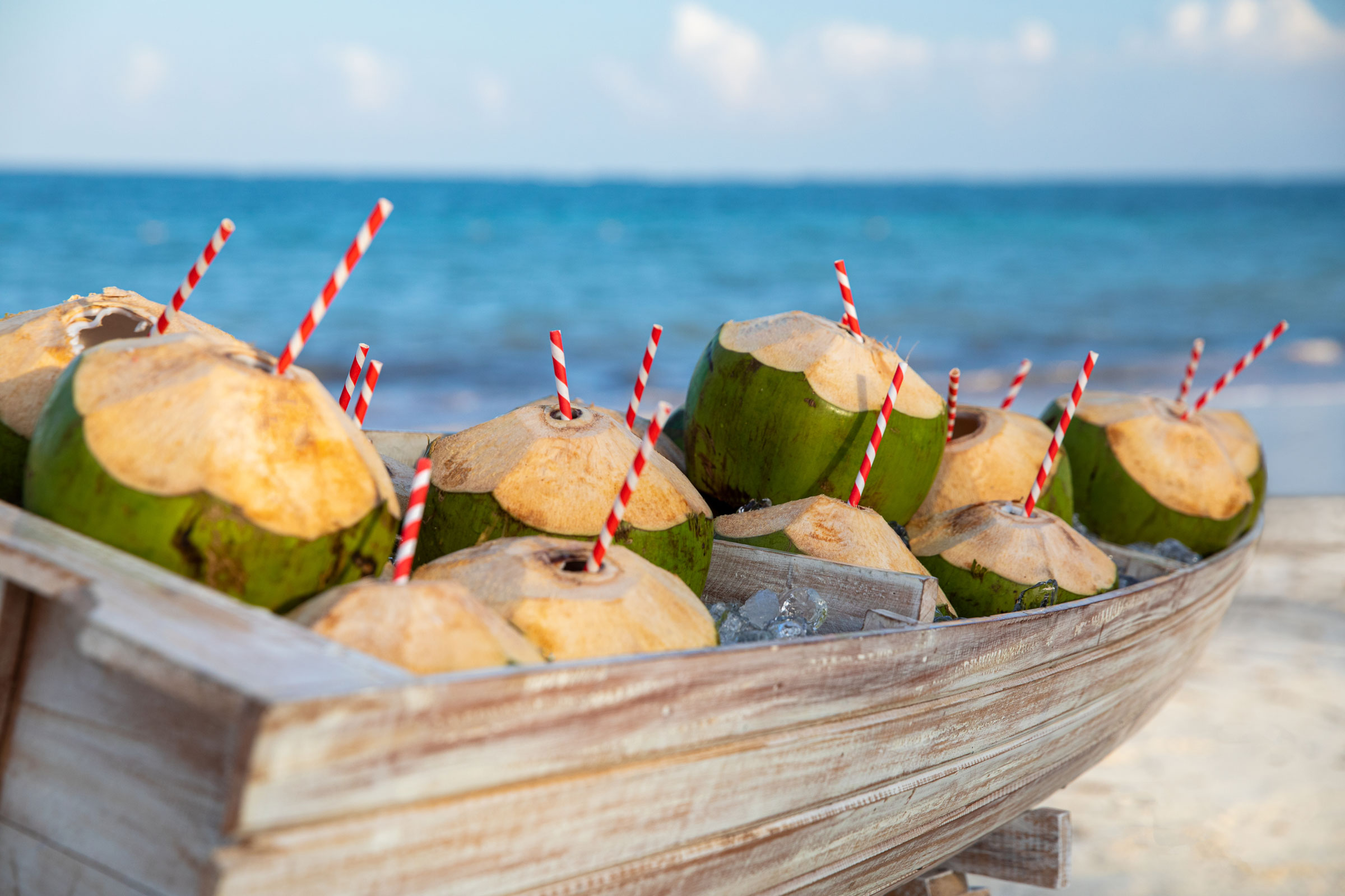 Coconut Drinks on the Beach
