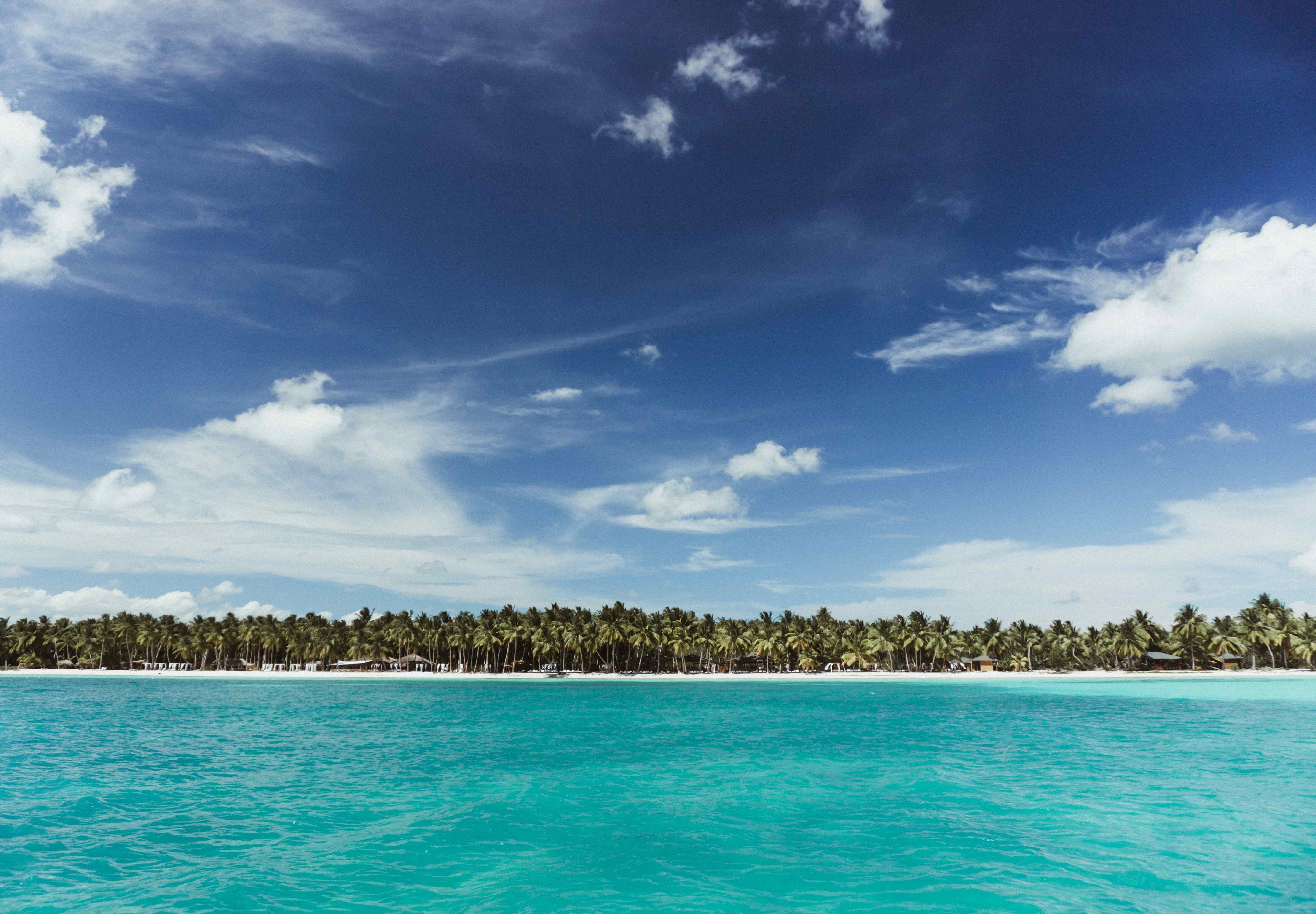Should You Try The Saona Island Excursion in The Dominican Republic?